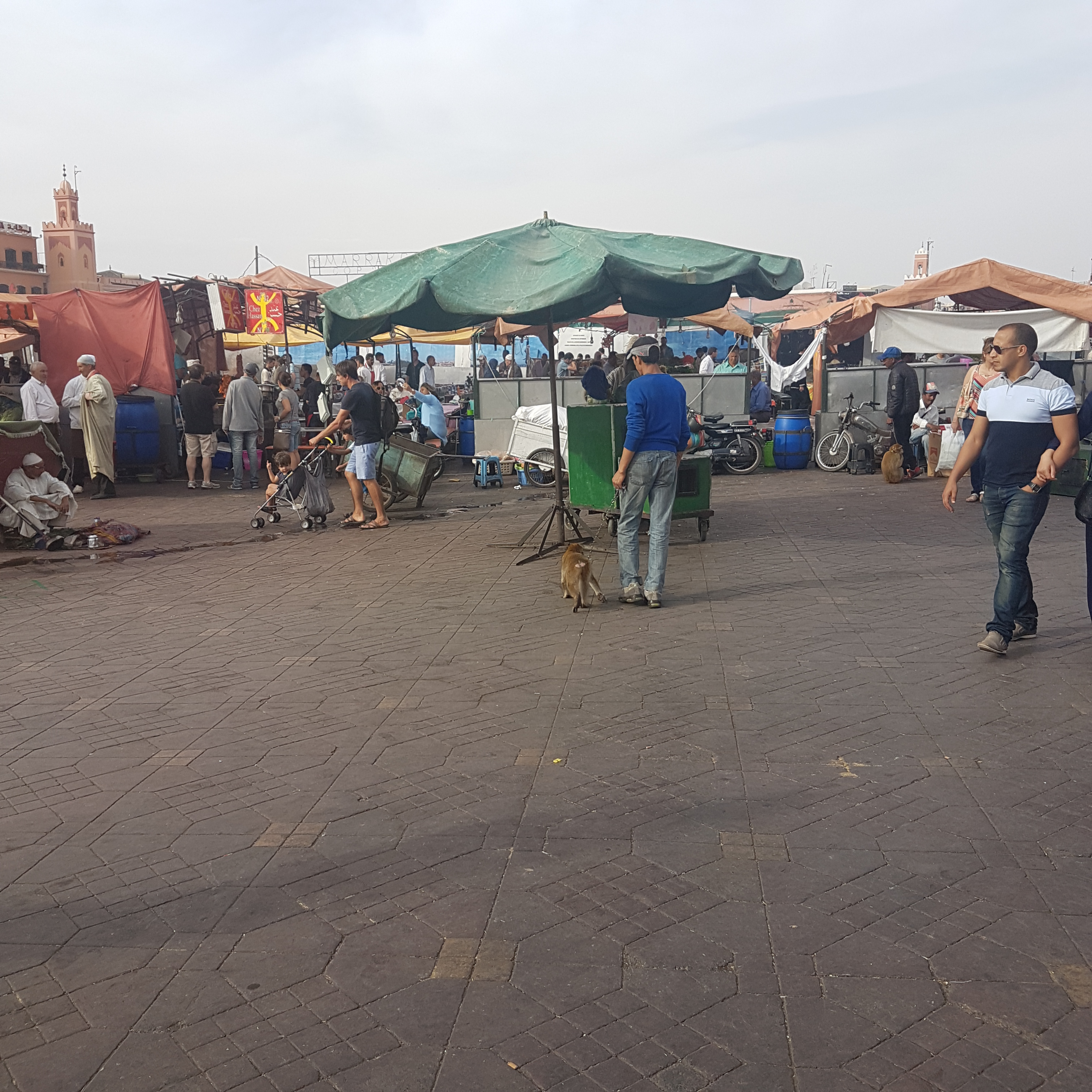 f10-1_morocco_marrakech_el_fna_animalturture