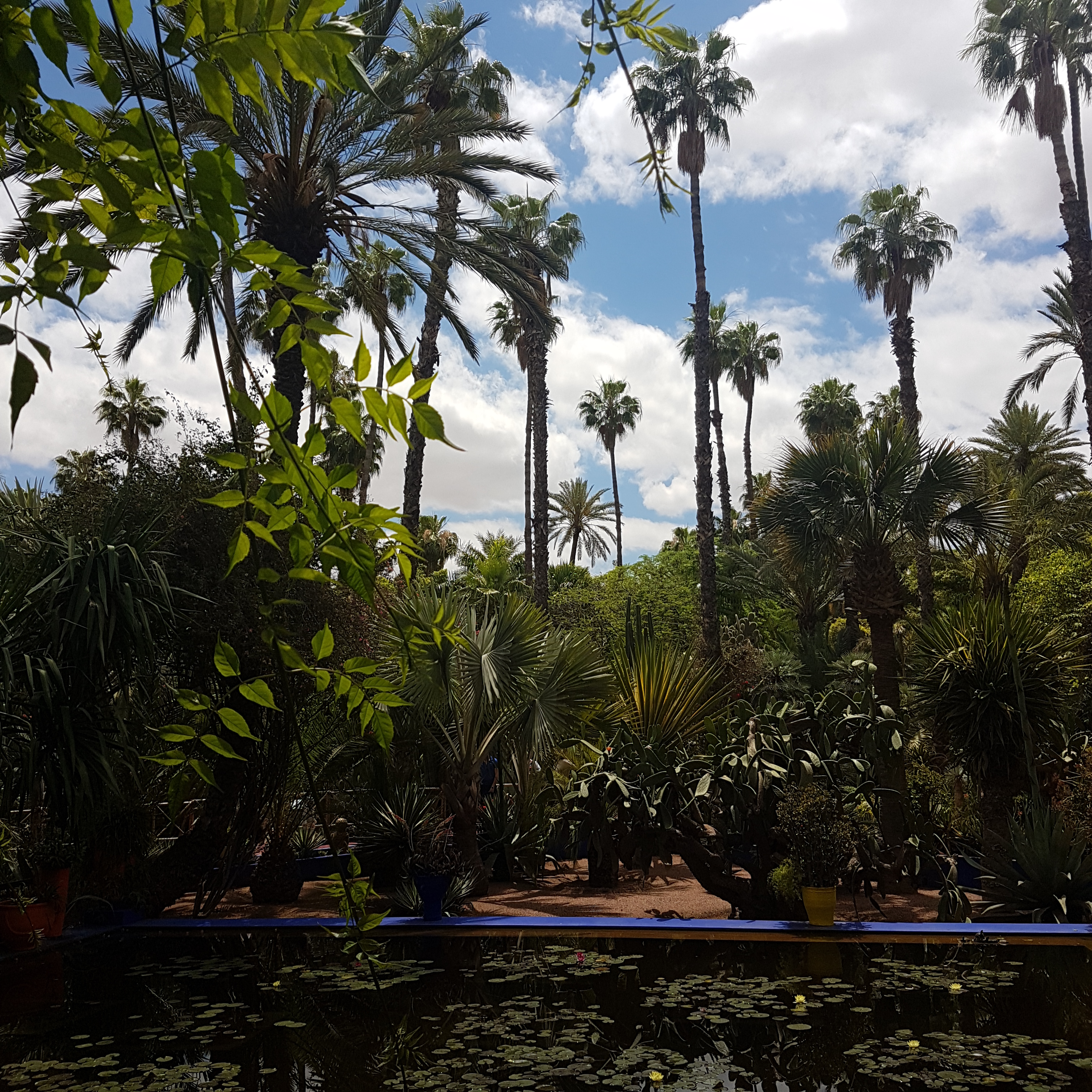 f10-2_morocco_marrakech_garden_majorelle